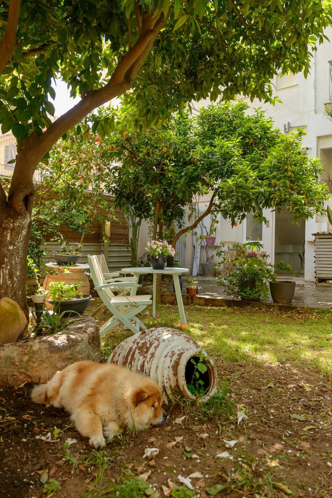 Agali 1 Mesonet In Front Of The Sea Akrogialion Exterior foto